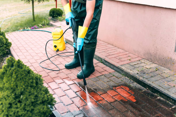 Best Roof Power Washing Services  in Faribault, MN