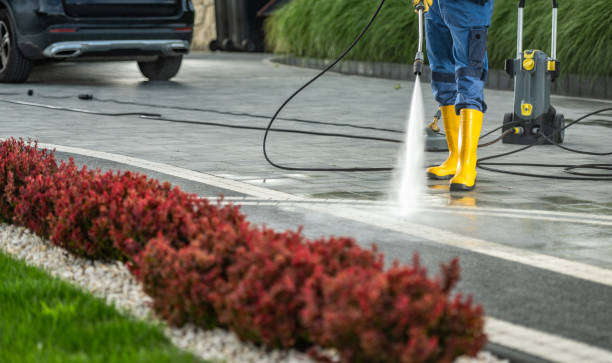 Best Concrete Pressure Washing  in Faribault, MN
