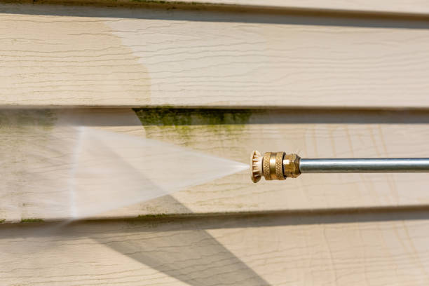 Best Residential Pressure Washing Services  in Faribault, MN
