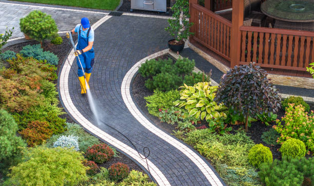 Best Affordable Power Washing  in Faribault, MN