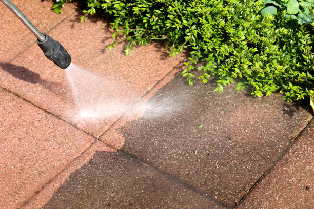 Best Fence Pressure Washing  in Faribault, MN